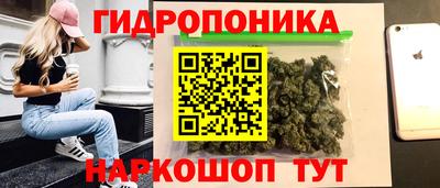 мяу мяу мука Дубна